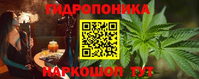 гидра Тверь