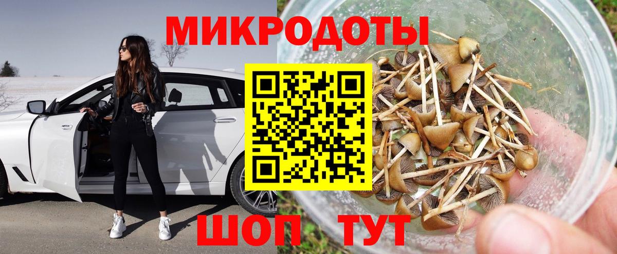 Галлюциногенные грибы мухоморы Среднеуральск
